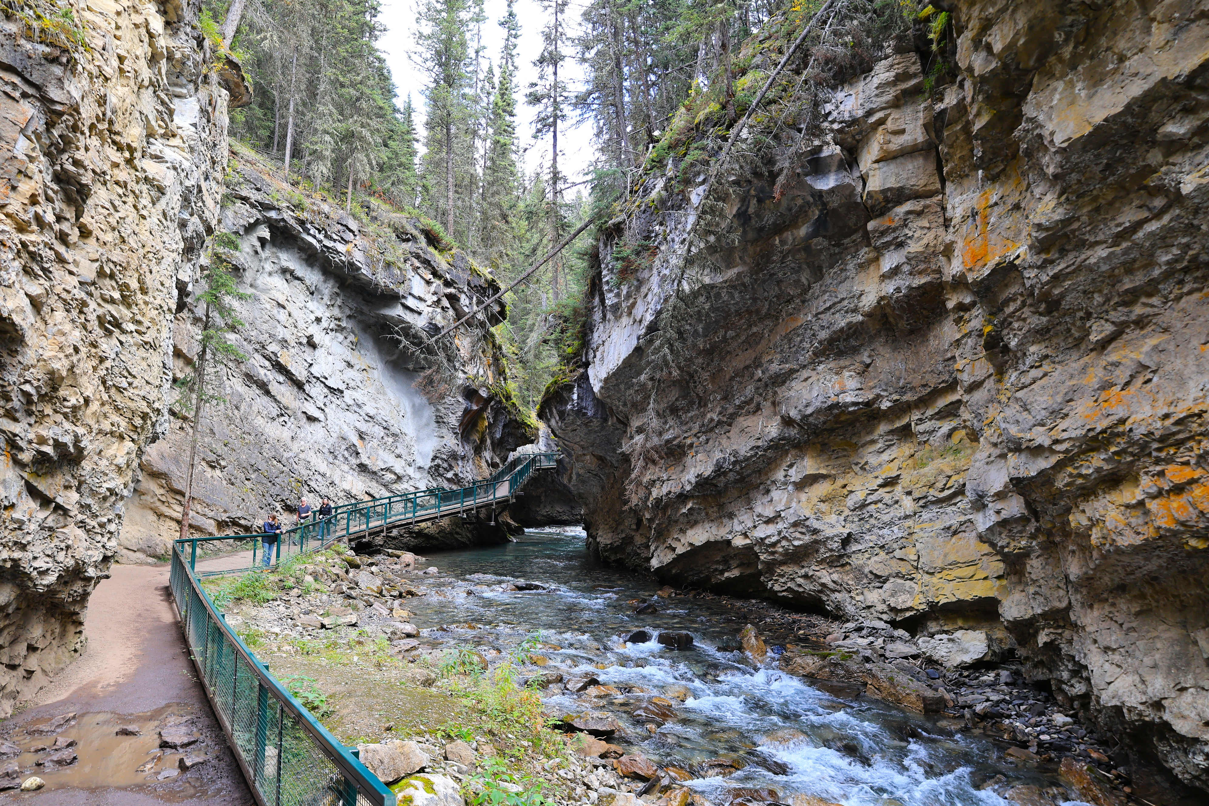 NP Banff